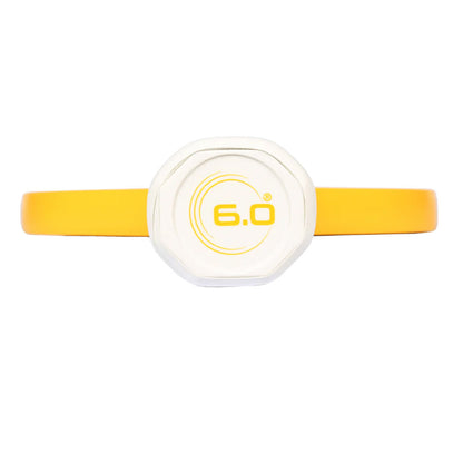 Six Zero Quartz Pickleball Paddle - Pickleball Sports Smart Buy